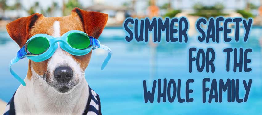 Summer Safety For The Whole Family With Simon-Life Is Crap