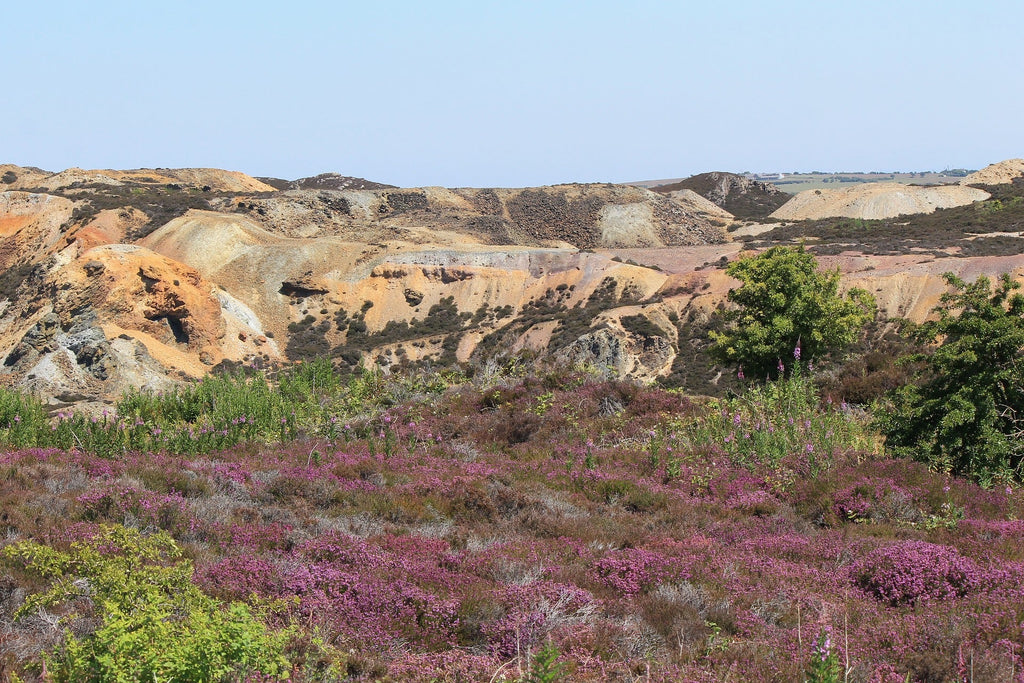 Top 4 Ways to Celebrate Earth Day-Life Is Crap