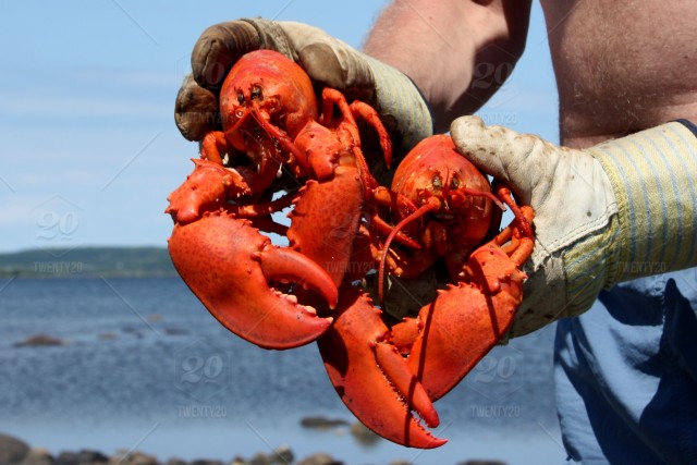 How to Keep Your Cool When Waist-Deep in Hot Water-Life Is Crap